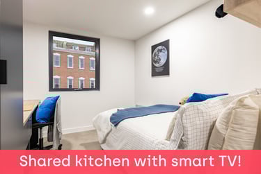 Accessible Deluxe En Suite at Croft Court, 16 Stokes Croft, St Paul's, Bristol, BS13PR - Image 1